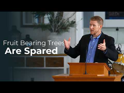 Fruit Bearing Trees Are Spared || Deuteronomy 20:19-20